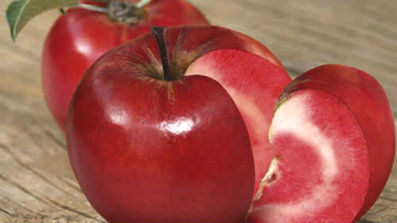 瑞士果树栽培者培育的红色果肉苹果