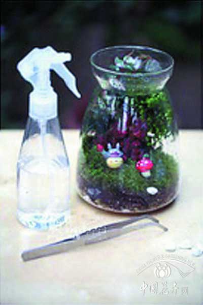 苔藓微景观制作教程——铺设苔藓、放入装饰小摆件