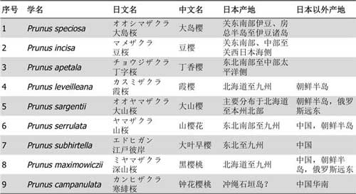 日本樱花的野生种 （分类处理遵照美国农业部种质资源信息网）