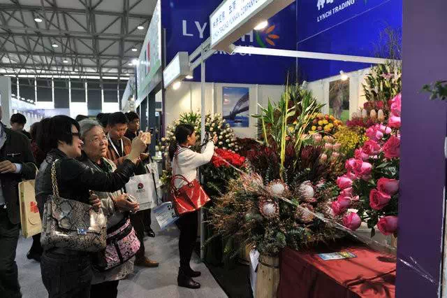 第17届中国国际花卉园艺展览会参加群众络绎不绝