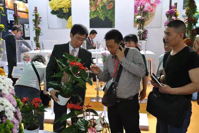第17届中国国际花卉园艺展览会参展公司介绍花卉新品种