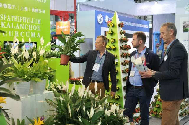 外国友人参加第17届中国国际花卉园艺展览会