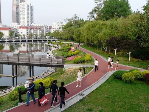 绿色植物对于地球环境和城市环境的重要作用