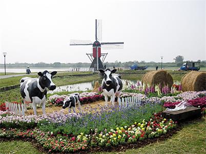 荷兰农业靠什么突破资源短板?