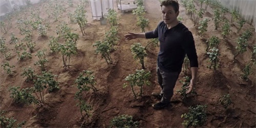 科学家称在火星种植农作物完全可行
