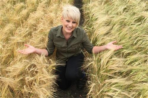 Hannah Robinson跪在一片深根大麦和根向两侧生长的大麦品种之间。在干旱的条件下，深根大麦长的更绿，产量也更高。