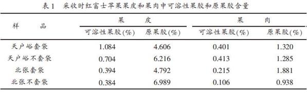红富士苹果的果皮和果肉中果胶含量的检测结果 图源：北京营养师协会