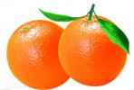 树木-甜橙