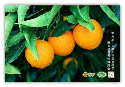 第五届中国赣州国际脐橙节