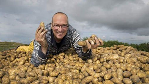 荷兰科学家培育出能在盐碱地里生长的土豆