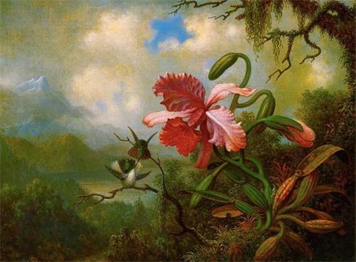 美国浪漫主义哈德逊河画派画家Martin Heade在南美洲画的卡特兰与蜂鸟