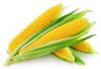 农作物-玉米